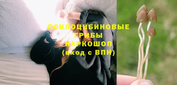 герыч Бородино