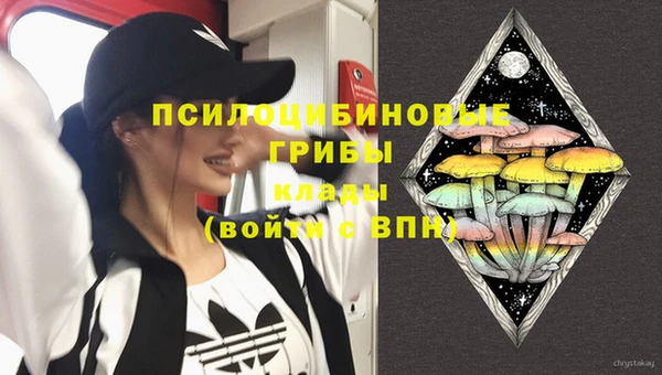 герыч Бородино