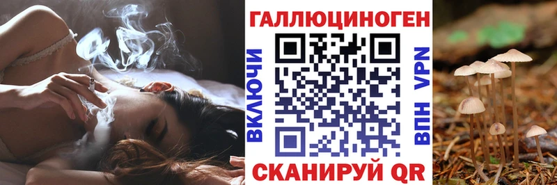 кракен маркетплейс  Норильск  Псилоцибиновые грибы прущие грибы 